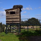 2018-03 Extremadura-0986.JPG