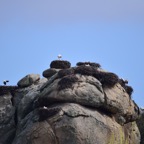 2018-03 Extremadura-1235.JPG