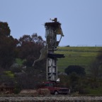 2018-03 Extremadura-1242.JPG