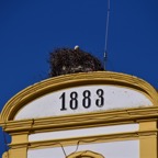 2018-03 Extremadura-1761.JPG