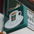 Madeira 2014-02-159.JPG