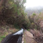 Madeira 2014-02-214.jpg