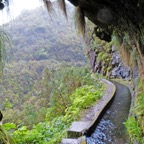 Madeira 2014-02-429.JPG