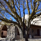 Mallorca 2015-03-172.JPG