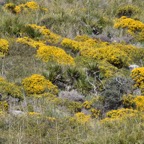 Mallorca 2015-03-330.JPG