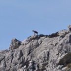 Mallorca 2015-03-366.JPG