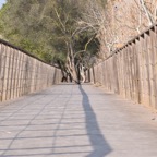 Mallorca 2015-03-431.JPG