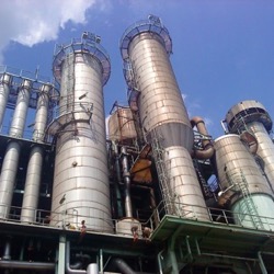 Picture-Taker-DZ0571